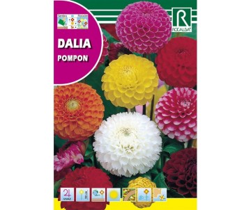 Sobre de Semilla Dalia...